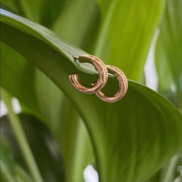 small earrings - Picture 2 of 2